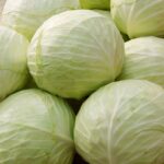 7 Ways To Store & Preserve Cabbage For 6+ Months
