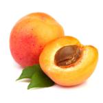 Apricot Kernel Carrier Oil _ Moksha Lifestyle Products