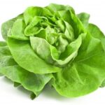 Comment conserver la salade _ - 750g_com