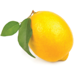 Eureka_Lisbon Lemons _ PMG Directory