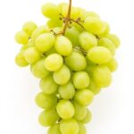 Free Photo _ Delicious bunch of grapes