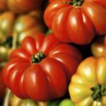 Growing Heirloom Tomatoes - 6 Great Varieties To Grow For Big Flavor!