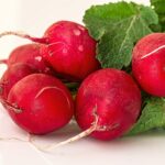 Growing Radishes_ The Complete Guide to Plant, Grow and Harvest Radishes
