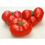 Neves Azorean Red Tomato Seeds