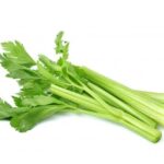 Premium Photo _ Fresh celery isolated