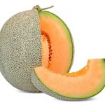 Premium Photo _ Melon fruit isolated on white
