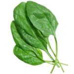 Spinach stock photo_ Image of closeup, salad, organic - 7419534