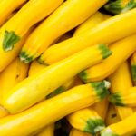 Squash - Zucchini Golden, Non GMO, Summer Squash - 20 Seeds
