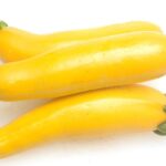 Three Yellow Zucchini Squash Stock Photo - Image of people, produce_ 15959318