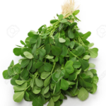 methi, fenugreek leaves isolated on white background (1)