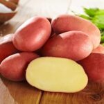 Купить клубни семенного картофеля в Краснодарском крае – доставка почтой, СДЭК (1)