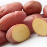 Купить клубни семенного картофеля в Краснодарском крае – доставка почтой, СДЭК
